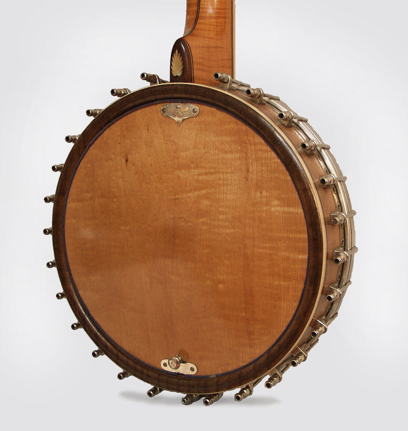 Bacon Blue Ribbon Conversion 5 String Banjo (1923)