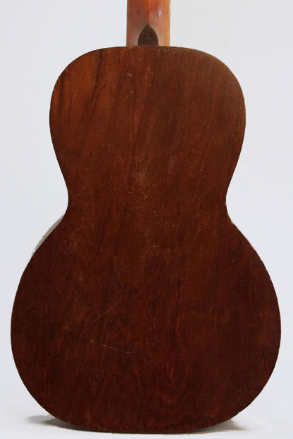 Lyon & Healy #1201 9 String Acoustic Flat Top Guitar (1921)