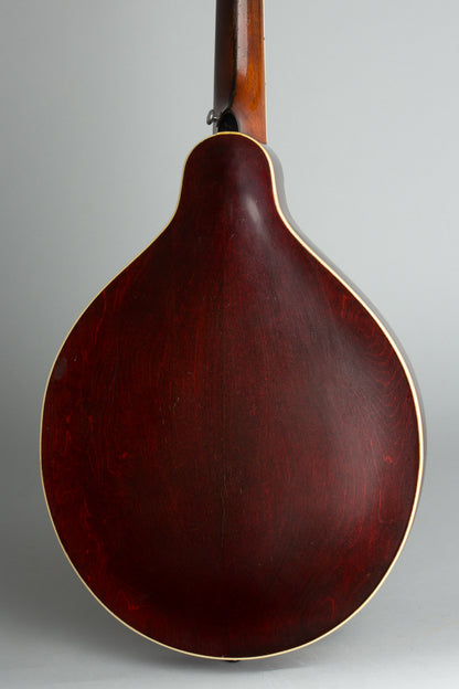 Gibson H-2 Carved Top Mandola (1914)