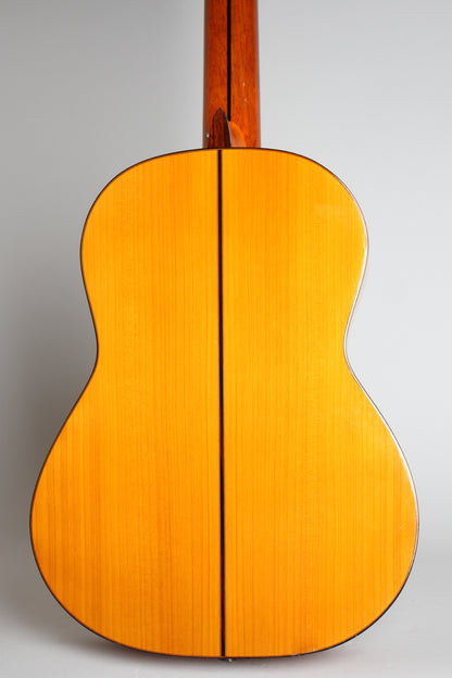 Manuel Raimundo Model 145F Flamenco Guitar (1990)
