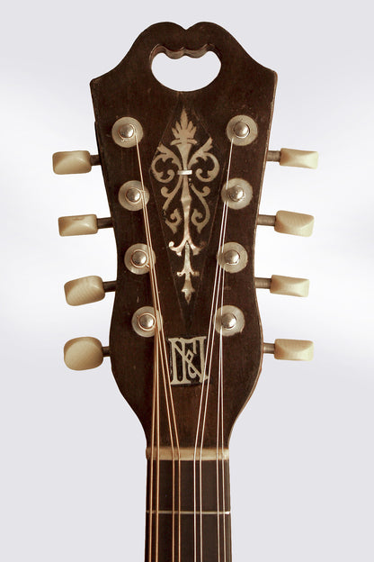 Galiano Raphael Ciani Arch Top Mandolin (1922)