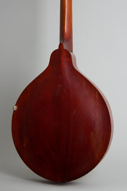 Gibson K-1 Carved Top Mandocello (1916)