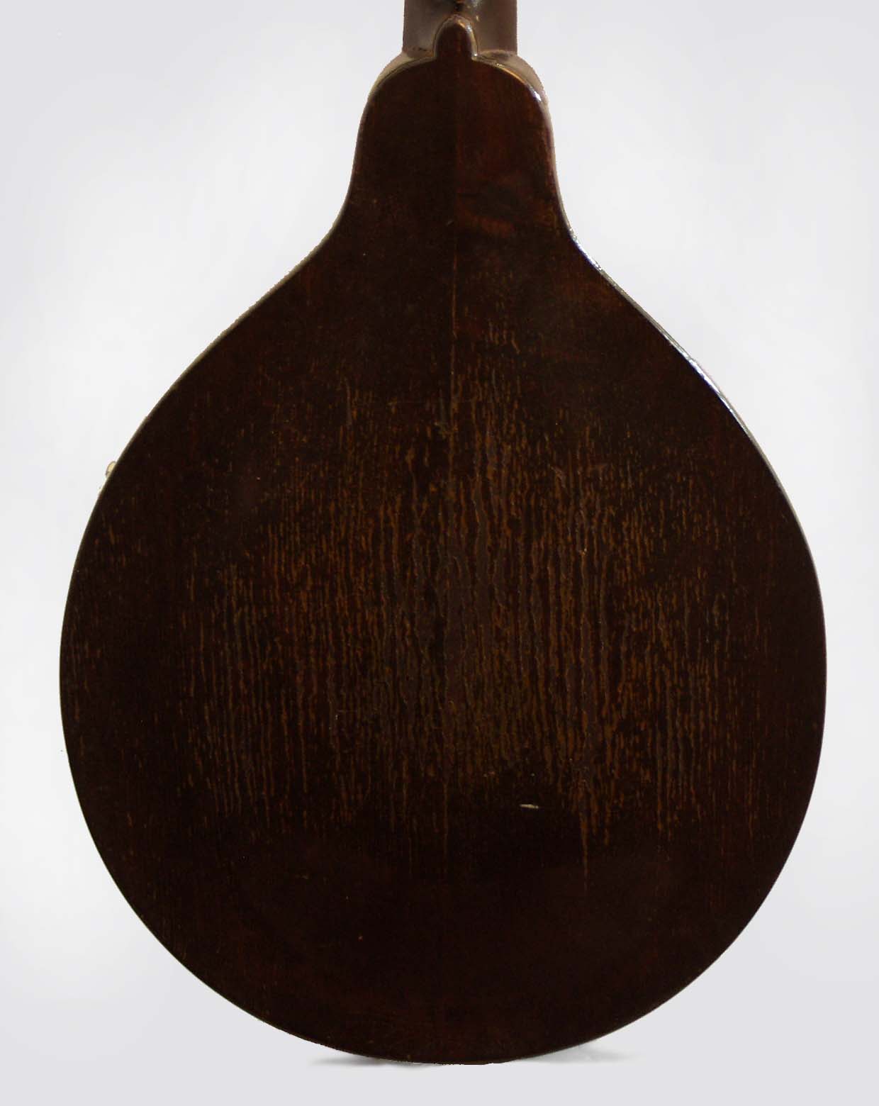 Gibson Style A-1 Snakehead Carved Top Mandolin (1924)