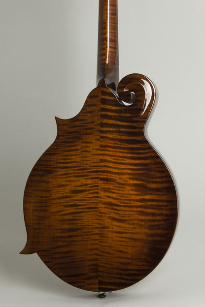 Northfield NFS-F5E Ltd Carved Top Mandolin (2026)