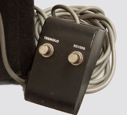 Epiphone Pathfinder Tube Amplifier (1966)