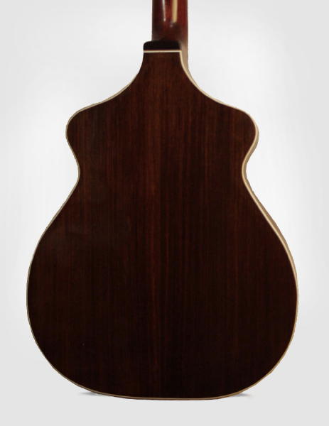 Fraulini Silvio Flat Top Acoustic Guitar (2010)