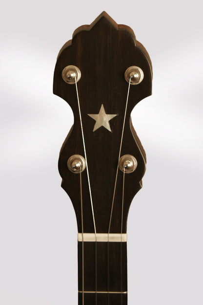 Bart Reiter Standard 5 String Banjo (2012)