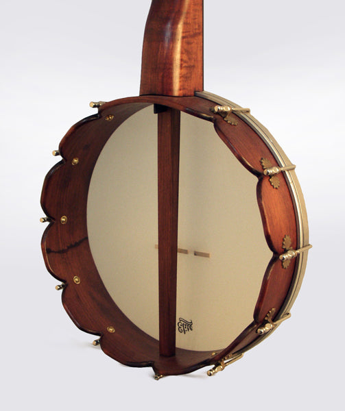 unknown 5 String Fretless Banjo
