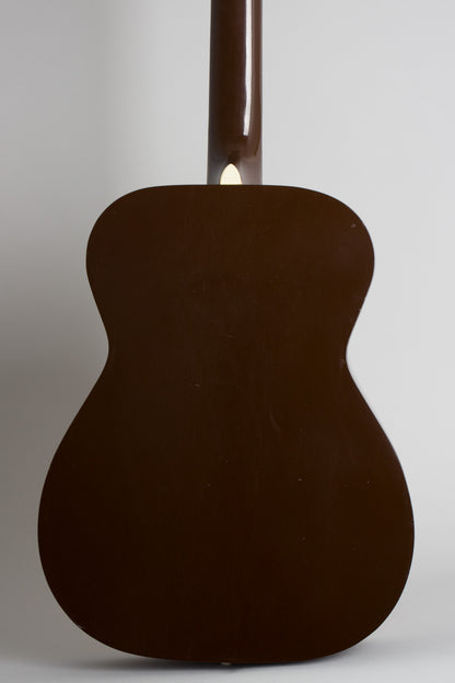 Harmony Silvertone Model 1227 12 String Flat Top Acoustic Guitar (1972)
