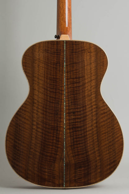 Circle Strings A-1 10 String Acoustic Flat Top Guitar (2018)