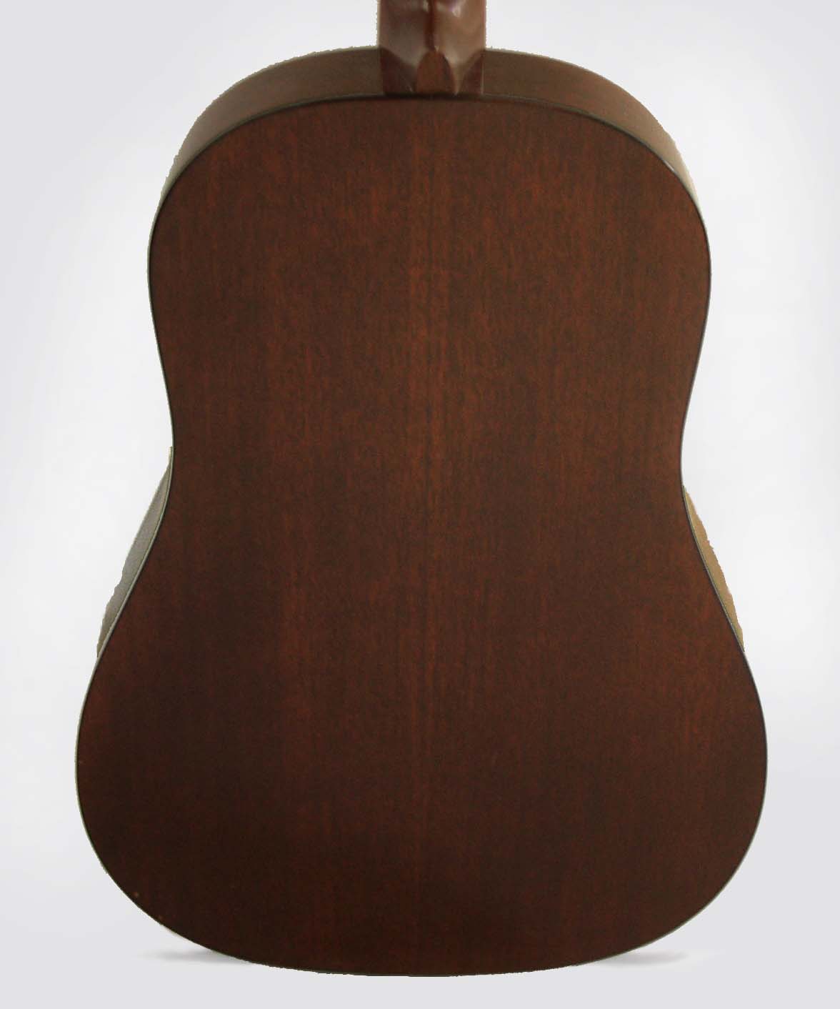C. F. Martin D-18S Flat Top Acoustic Guitar (1971)