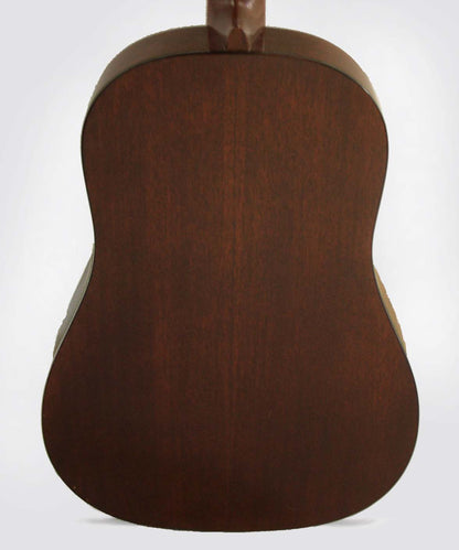 C. F. Martin D-18S Flat Top Acoustic Guitar (1971)