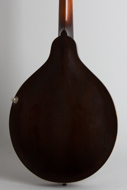 Gibson Style H-1 Carved Top Mandola (1920)