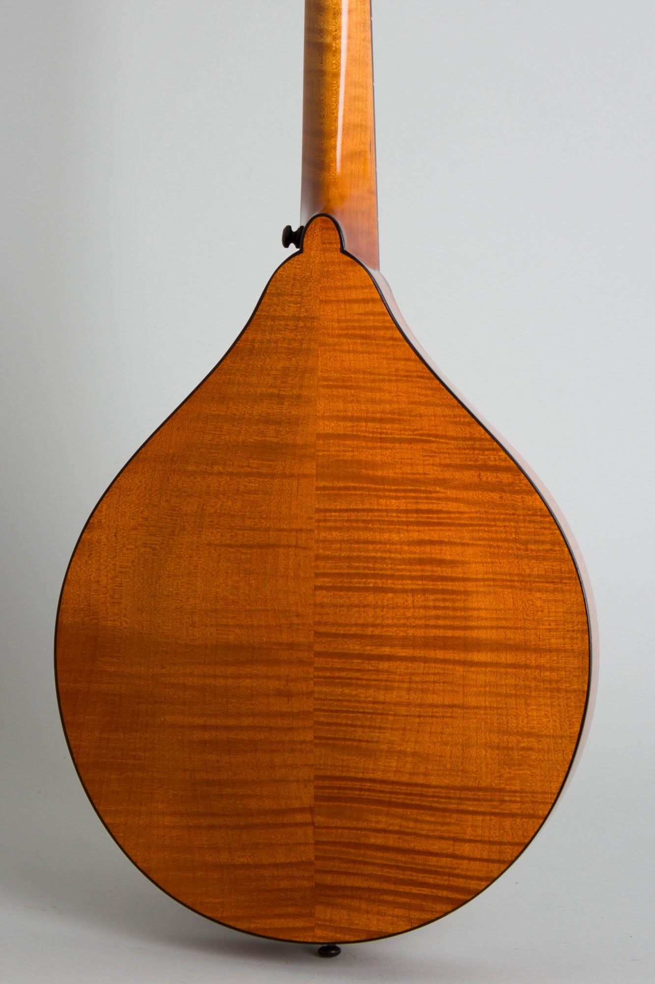Northfield NFM-M4 Carved Top Mandola (2023)