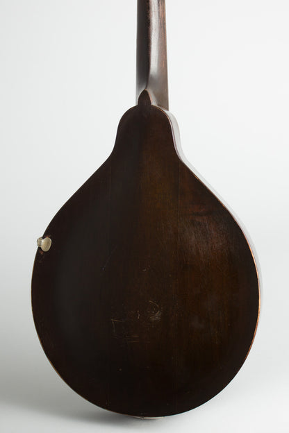 Gibson A-Junior Carved Top Mandolin (1921)