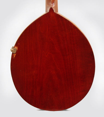 Gibson Alrite Style D Flat Top Mandolin (1917)