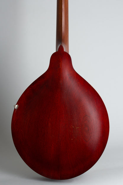 Gibson K-1 Carved Top Mandocello (1912)