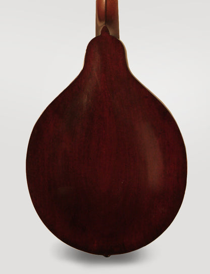 Gibson Style A-1 Carved Top Mandolin (1918)