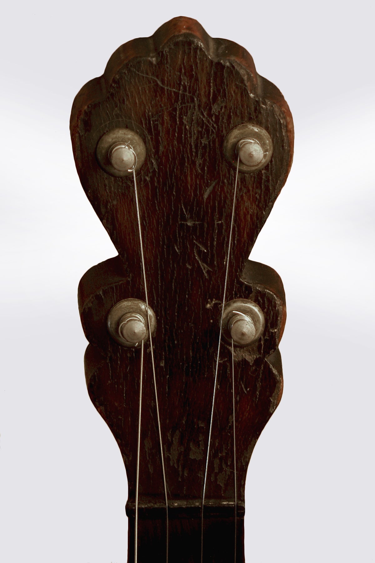 unlabelled Ladie's 5 String Banjo (1890)