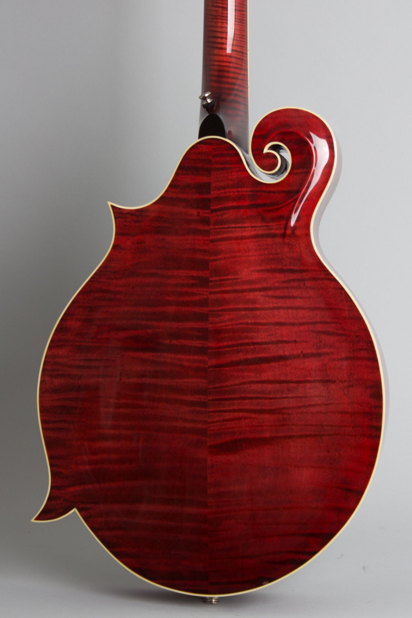 Weber Carved Top Mandocello (2016)
