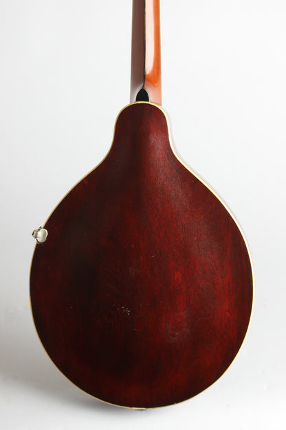 Gibson A-4 Carved Top Mandolin (1911)