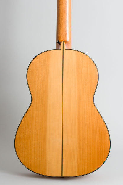 Darren Hippner Barbero pattern Flamenco Guitar (2013)