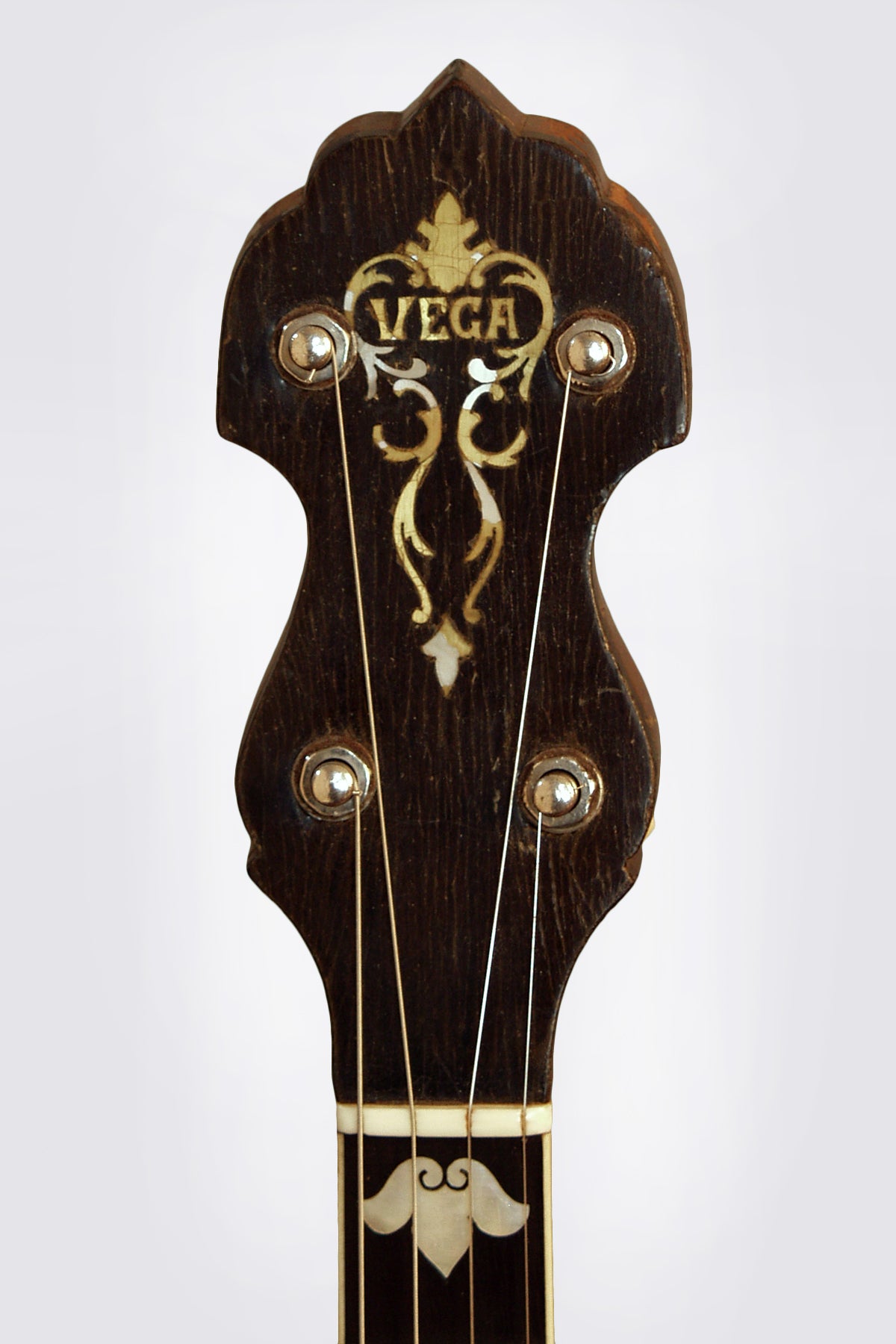 Vega Vegaphone Professional Tenor Banjo (1931)