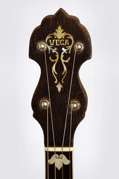 Vega Vegaphone Professional Tenor Banjo (1931)