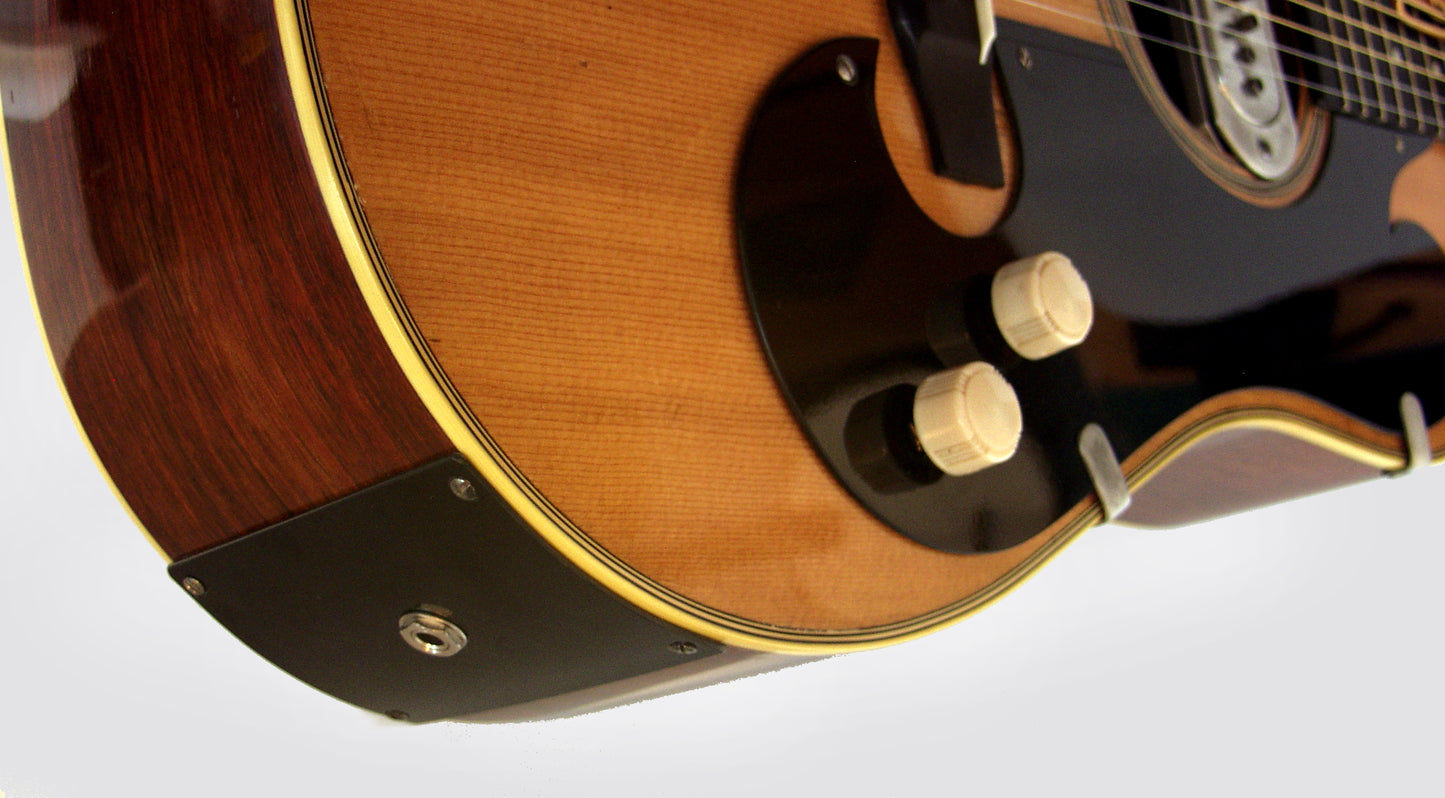 Bigsby/Martin Acoustic-Electric Guitar