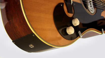 Bigsby/Martin Acoustic-Electric Guitar