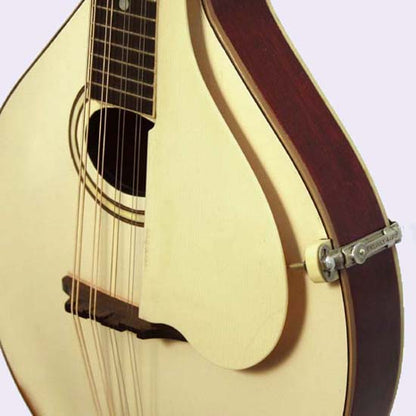 Gibson Style A-3 Carved Top Mandolin (1920)