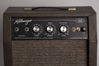 Kalamazoo Model Two Tube Amplifier (1966)
