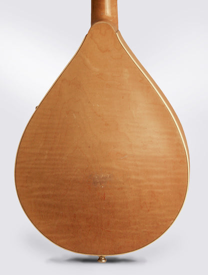 Vega Hollow Body Electric Mandolin (1940)