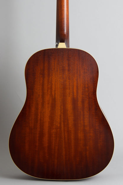 Iris DF Flat Top Acoustic Guitar