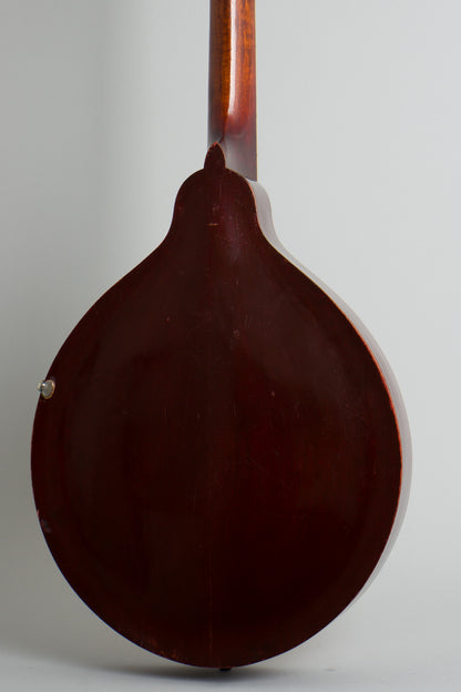 Gibson K-1 Carved Top Mandocello (1918)