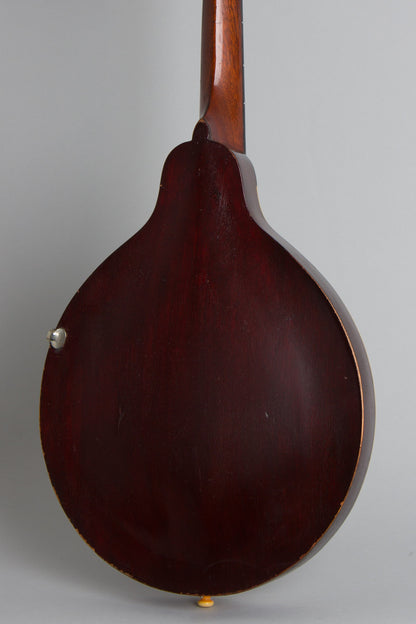 Gibson Style A- Carved Top Mandolin (1911)