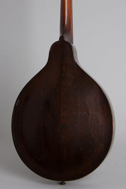 Gibson Style A-1 Snakehead Carved Top Mandolin (1925)