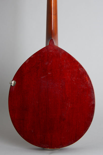 Gibson Alrite Style D Flat Top Mandolin (1915)