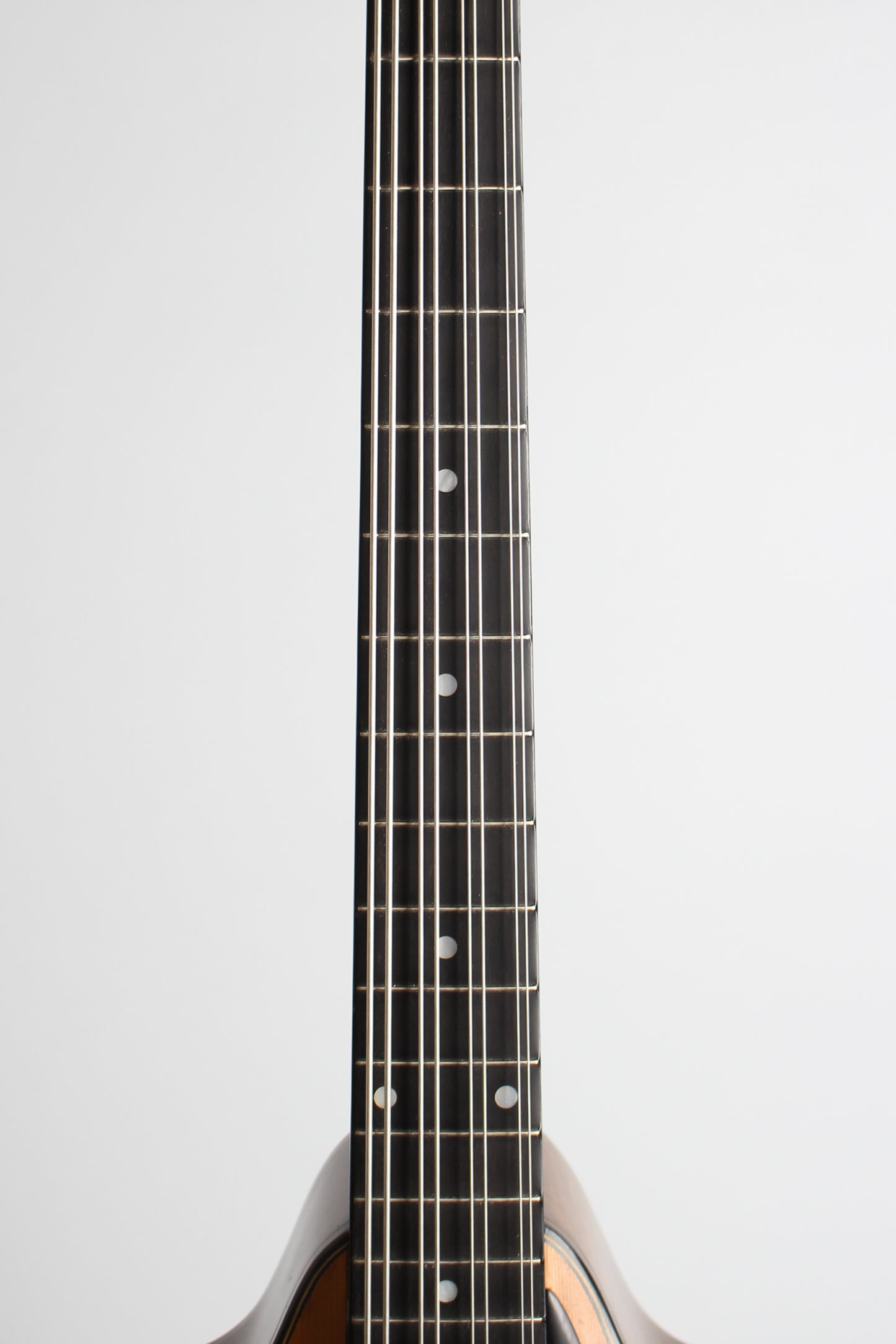 Lyon & Healy Washburn Style 5310 Carved Top Mandocello (1925)