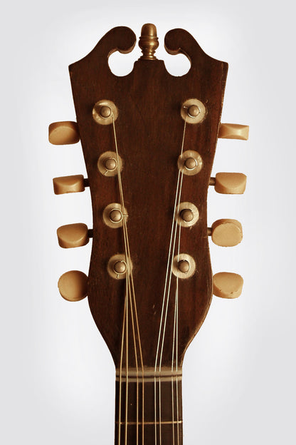 Raphael Ciani A. Galiano Bowl Back Mandolin (1915)