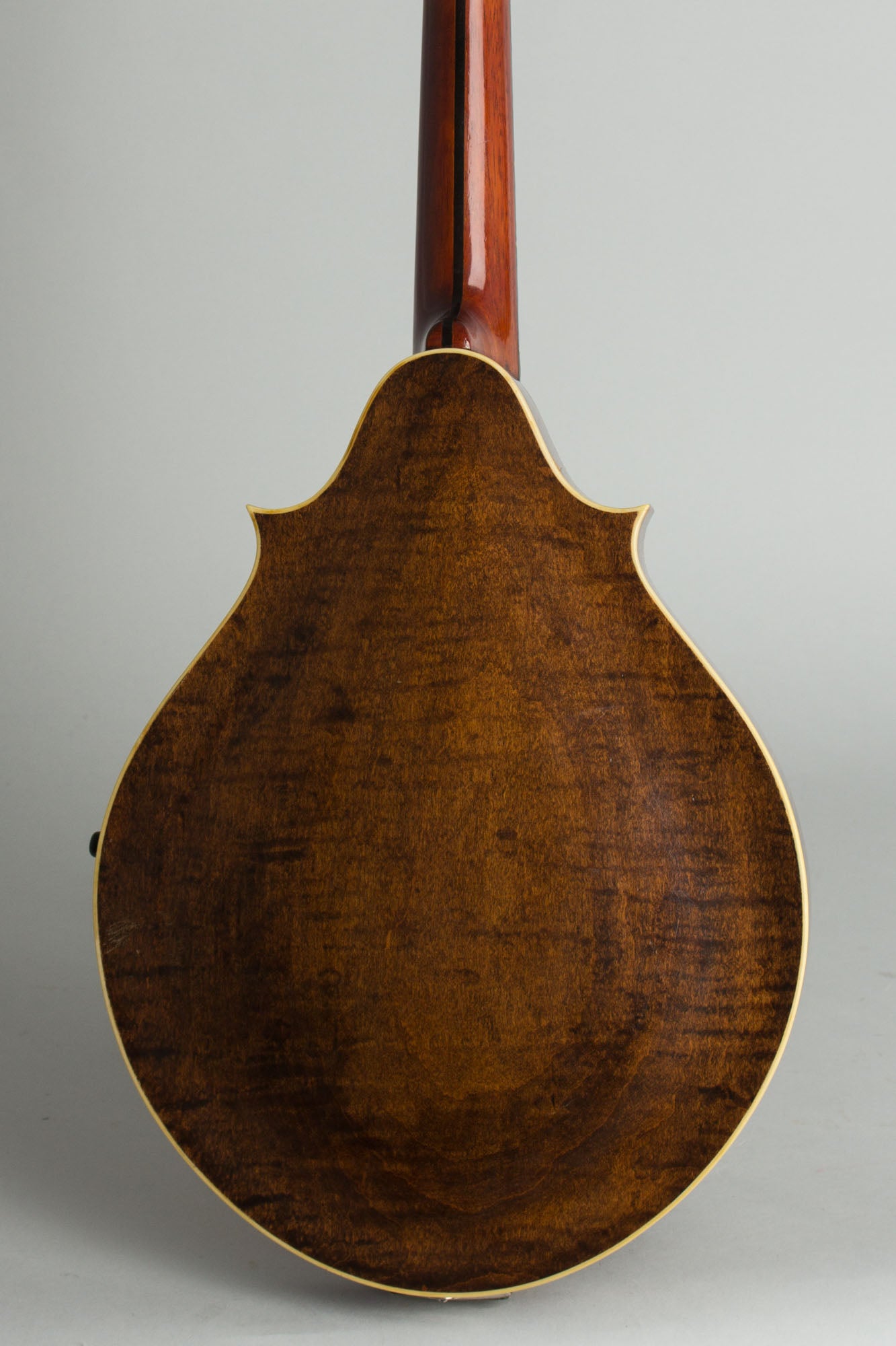 Lyon & Healy Style B Carved Top Mandolin (1919)