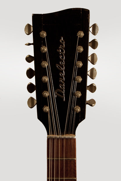 Danelectro Hawk 1N-12 12 String Electric Guitar (1967)
