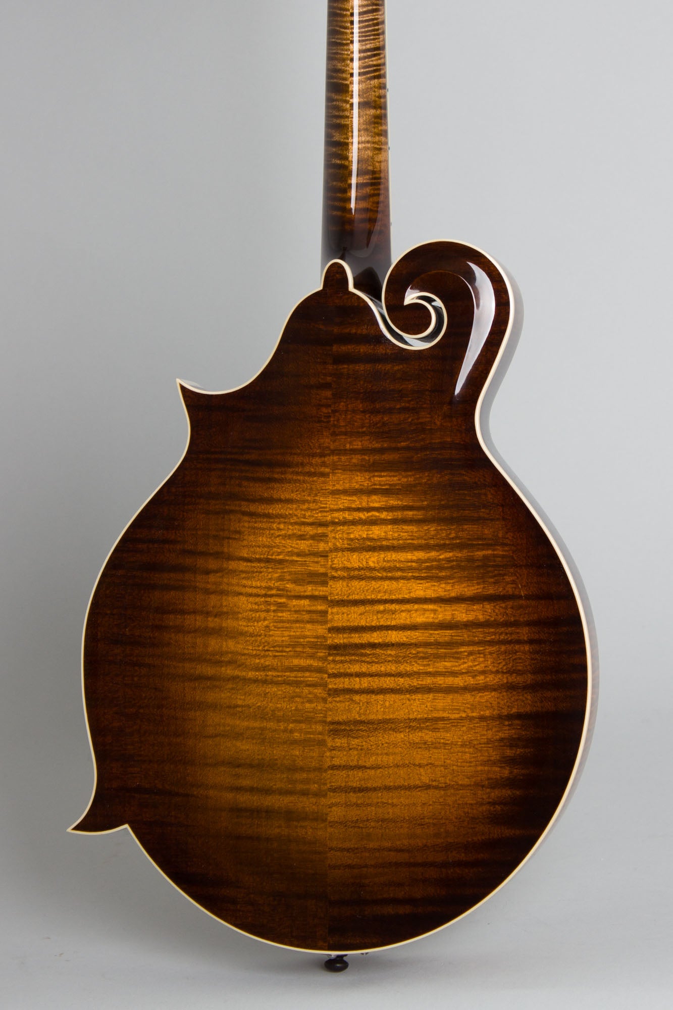 Northfield NFB-F5E Big Mon Carved Top Mandolin (2025)
