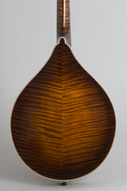 Northfield NFMSP-A5 Carved Top Mandolin (2025)