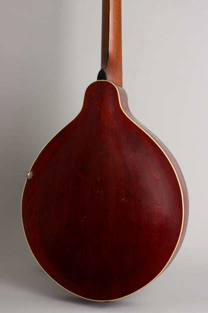Gibson K-2 Carved Top Mandocello (1913)
