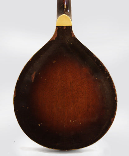 unlabelled Carved Top Mandolin (1920's)