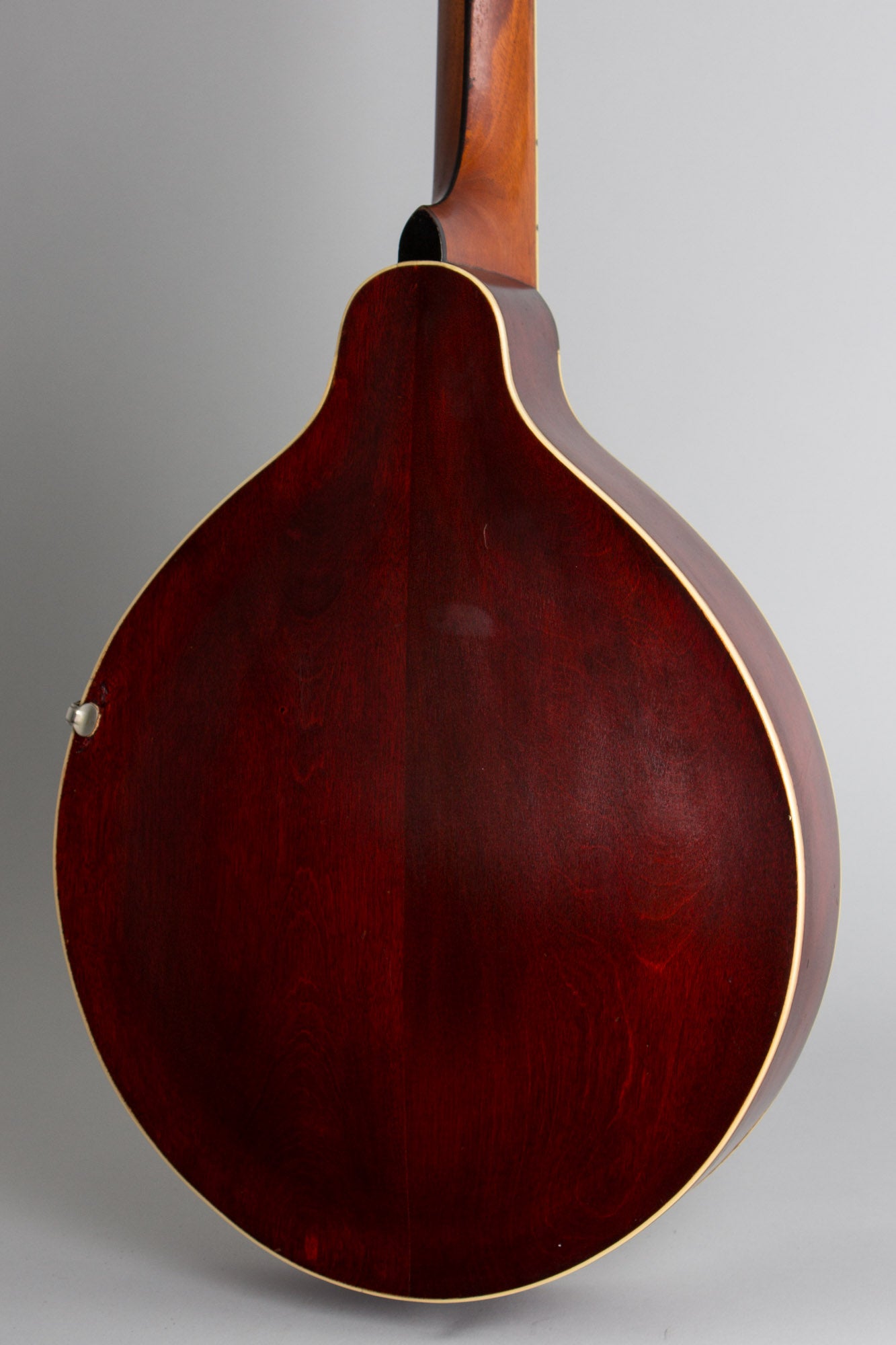Gibson K-2 Carved Top Mandocello (1912)