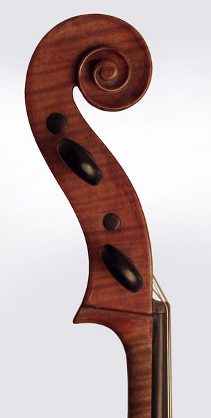 unknown Vertical Viola (late 19th century)
