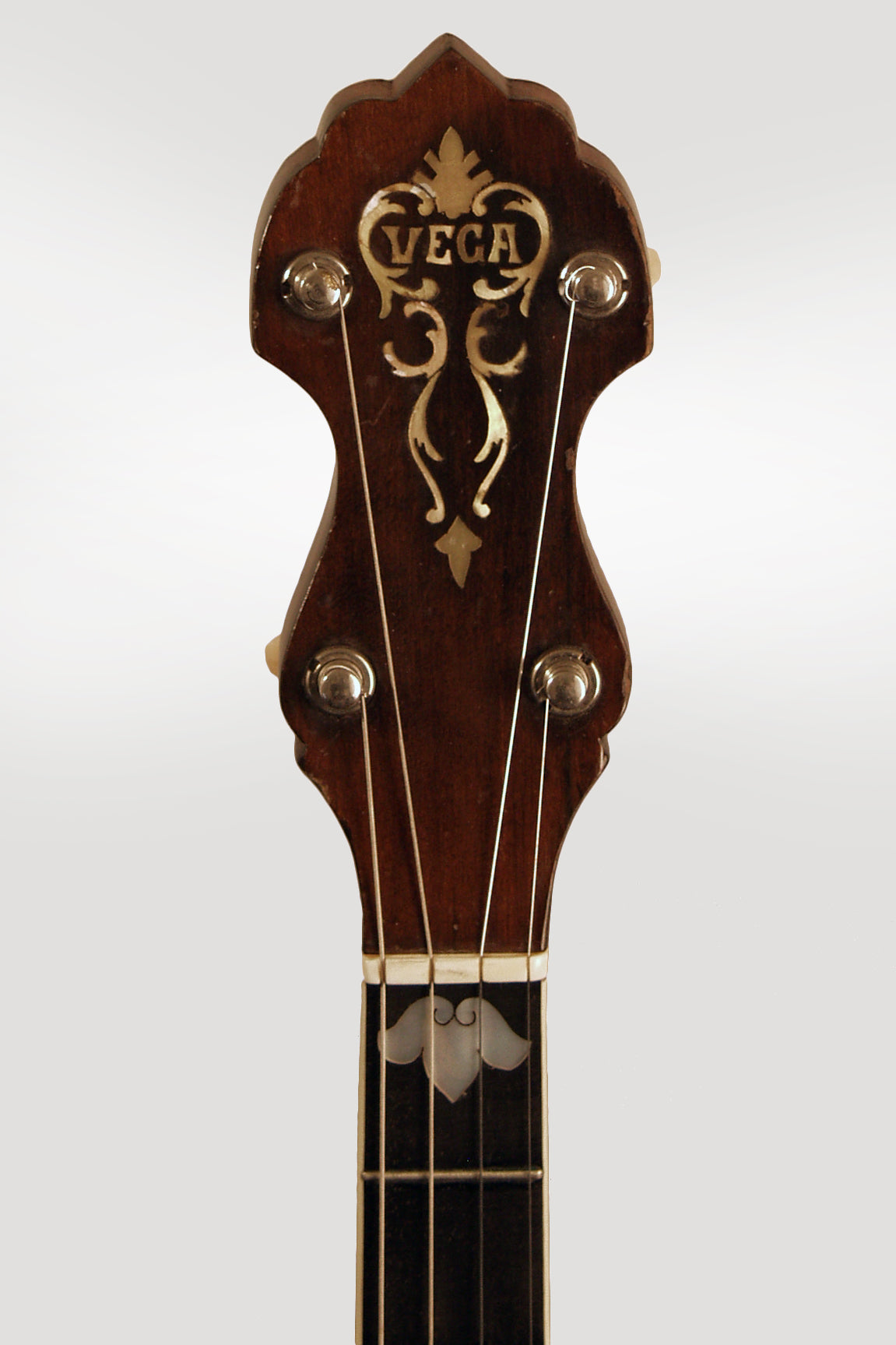 Vegaphone Professional Tenor Banjo (1927)
