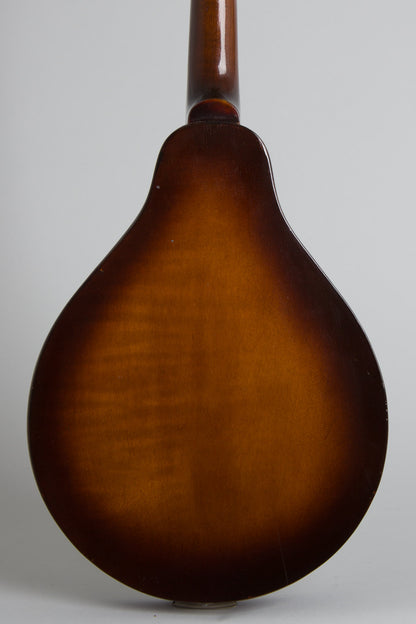 Stradolin Oval Hole Arch Top Mandolin (1936)